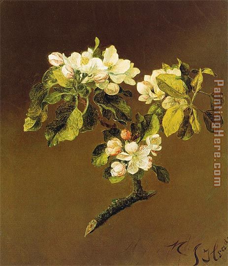 A Spray of Apple Blossoms 1870 painting - Martin Johnson Heade A Spray of Apple Blossoms 1870 art painting